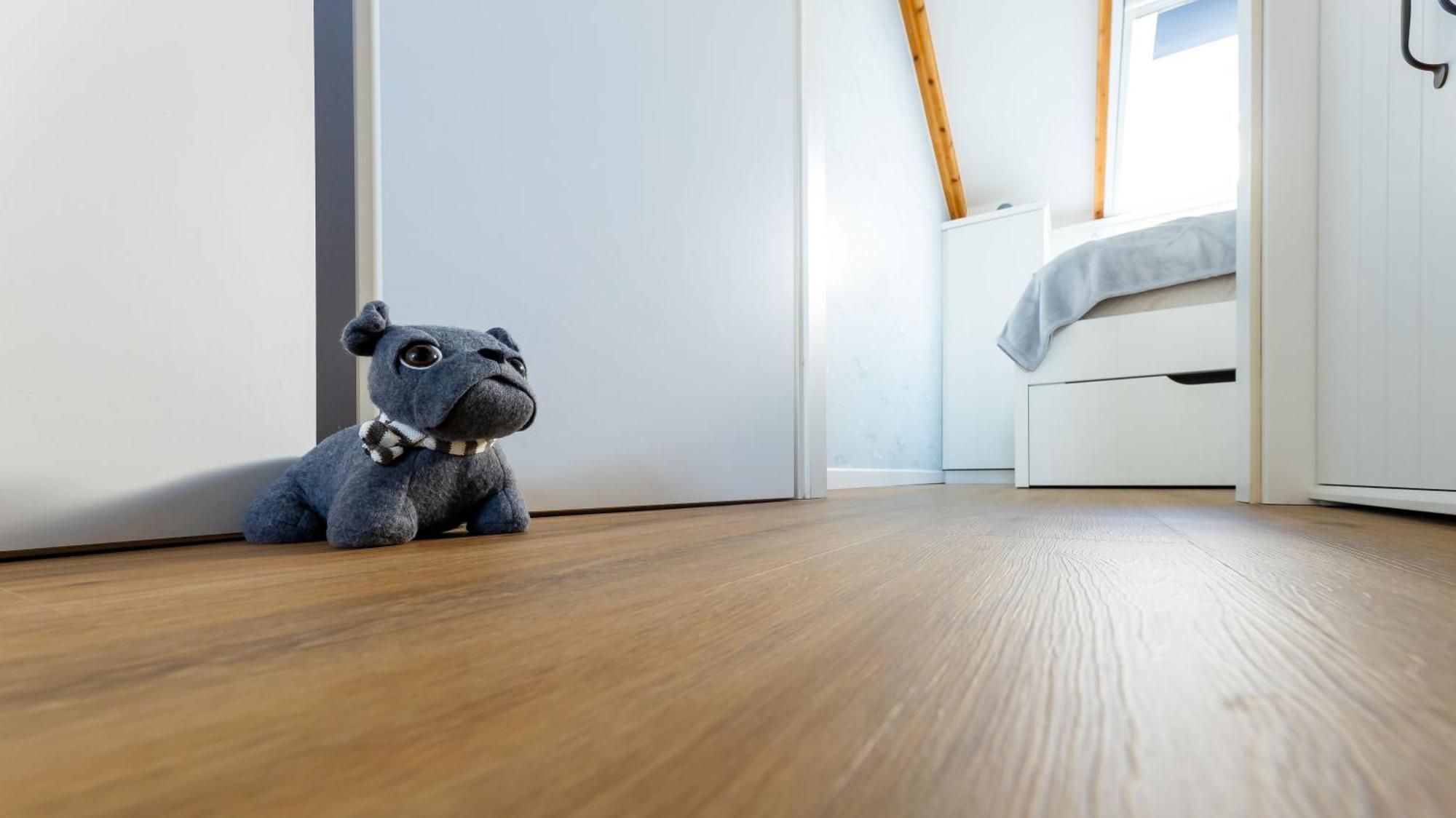 Haus Seeblick Mit 9 Wohnungen Alt Reddevitz Luaran gambar
