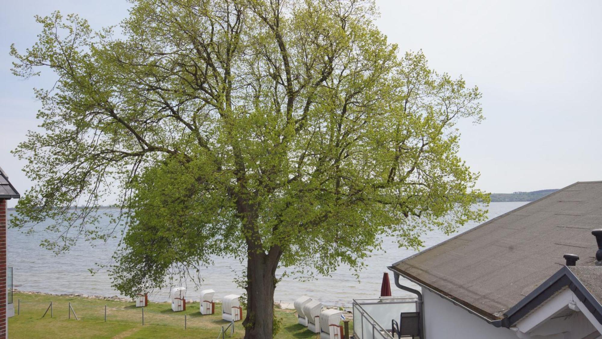 Haus Seeblick Mit 9 Wohnungen Alt Reddevitz Luaran gambar